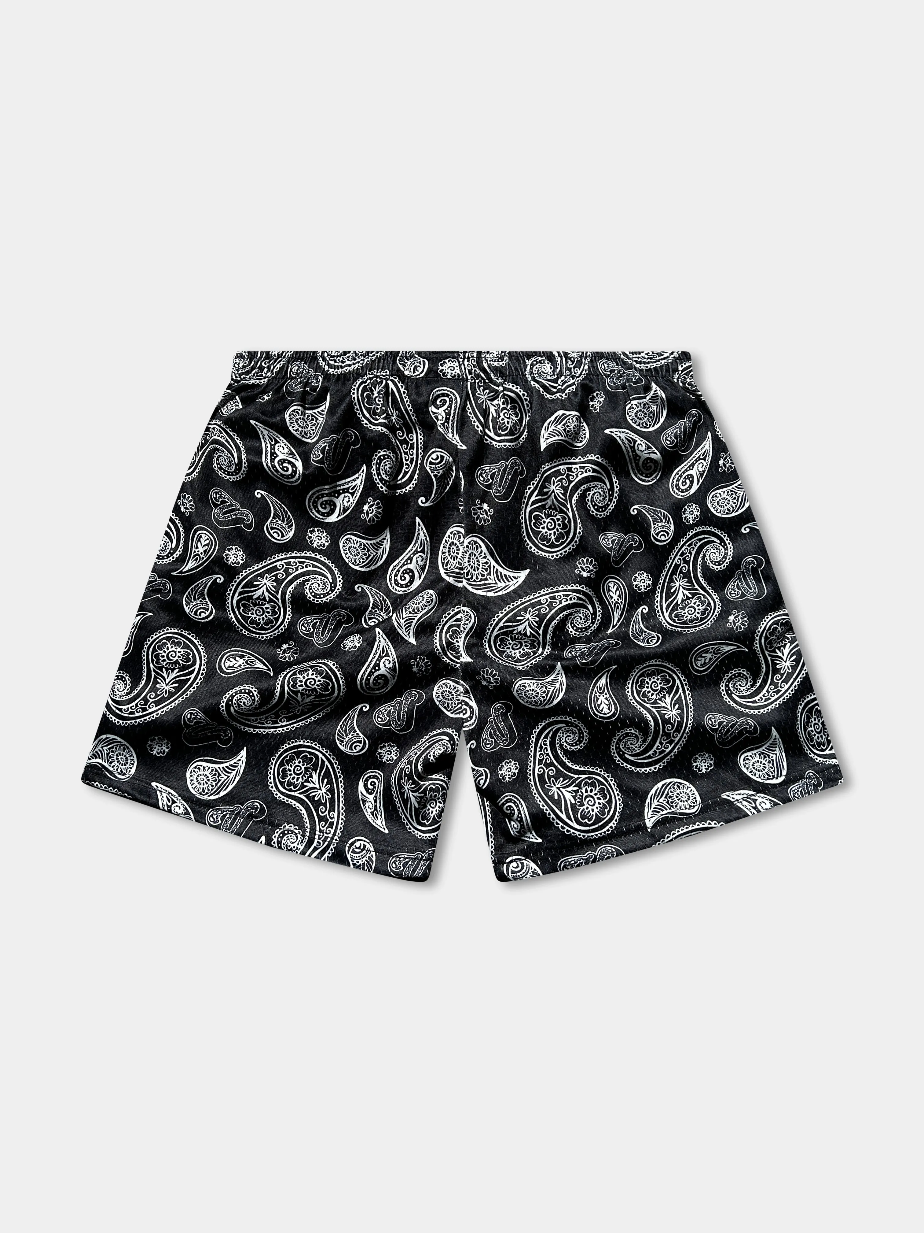 Vibn Paisley Heavyweight Mesh Shorts