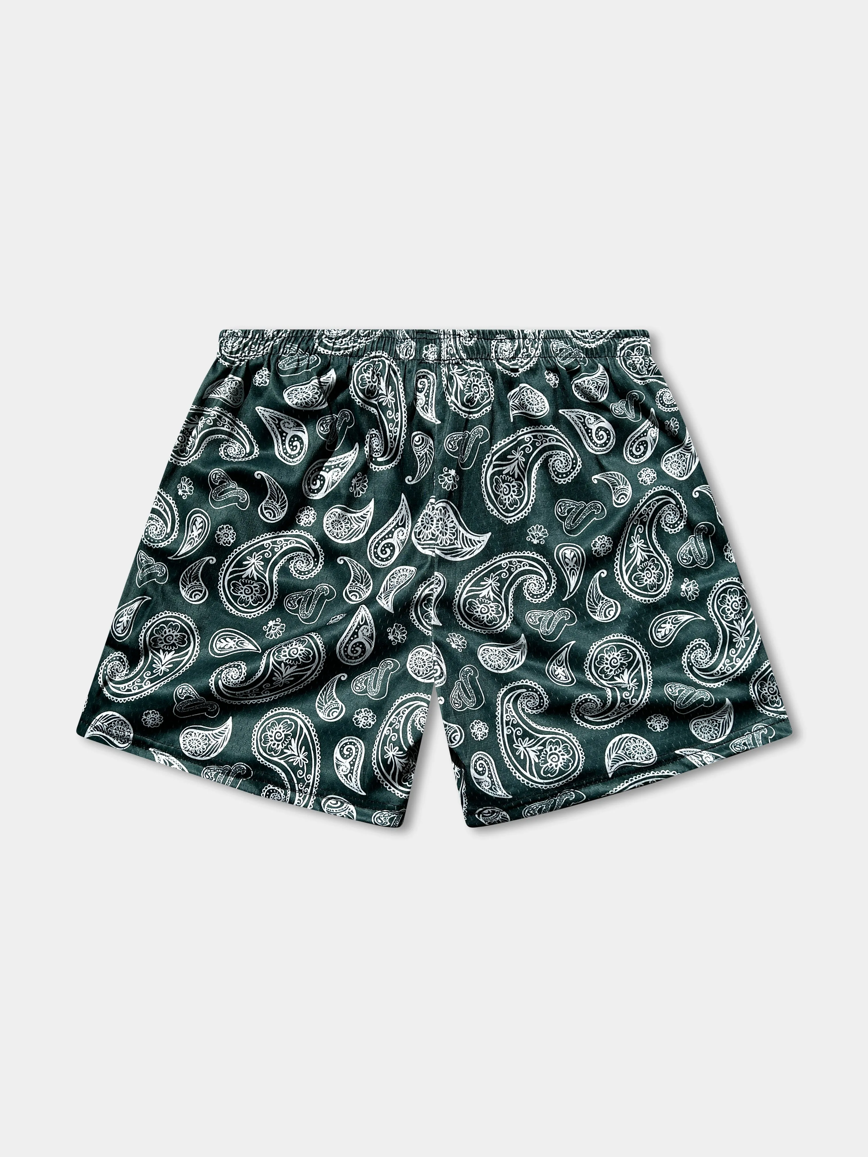 Vibn Paisley Heavyweight Mesh Shorts